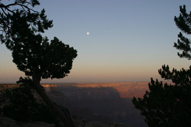 Grand Canyon lidt efter solopgang.