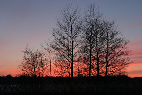 Uge 11 - Solnedgang ved Bagsværd Sø.